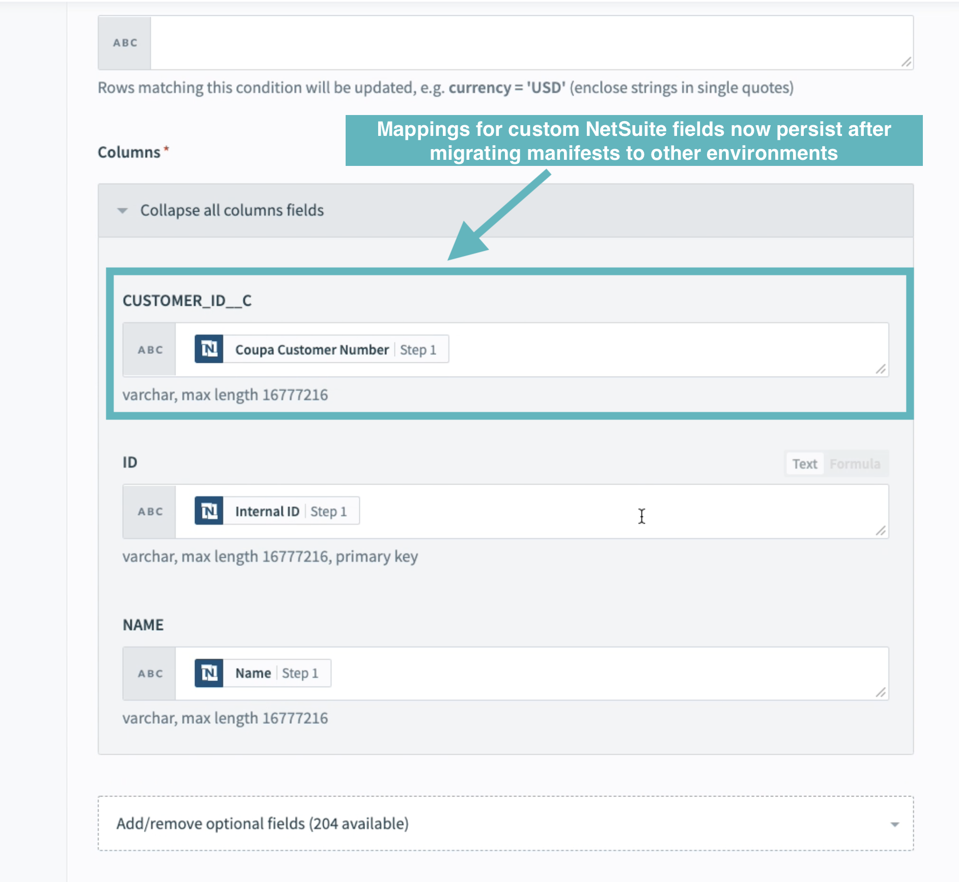 NetSuite custom field mapping